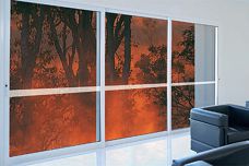 Bushfire-resistant doors and windows