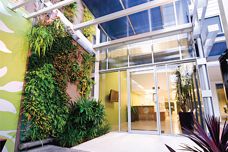Plant Up green walls and landscaping
