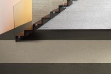 Basic Tee Commercial Carpet Collection from GEO Flooring