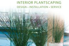 Interior plantscaping