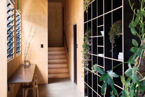 Paddington Tree House features extensive use of Ecoply® plywood. Designer/builder: SBUILT. Photography: Mindi Cooke.